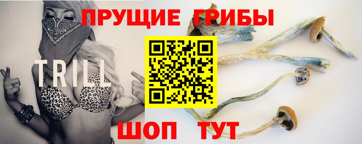 Псилоцибиновые грибы ЛСД  Вход с VPN  Сыктывкар 