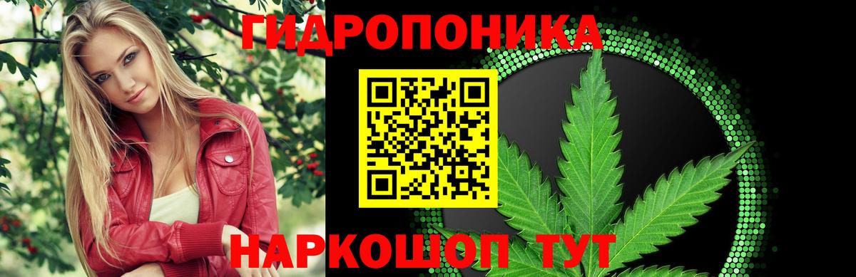 Шишки марихуана SATIVA & INDICA  Бошки Шишки ГИДРОПОН  Канабис сатива  Сыктывкар  Вход с VPN  Каннабис Bruce Banner 