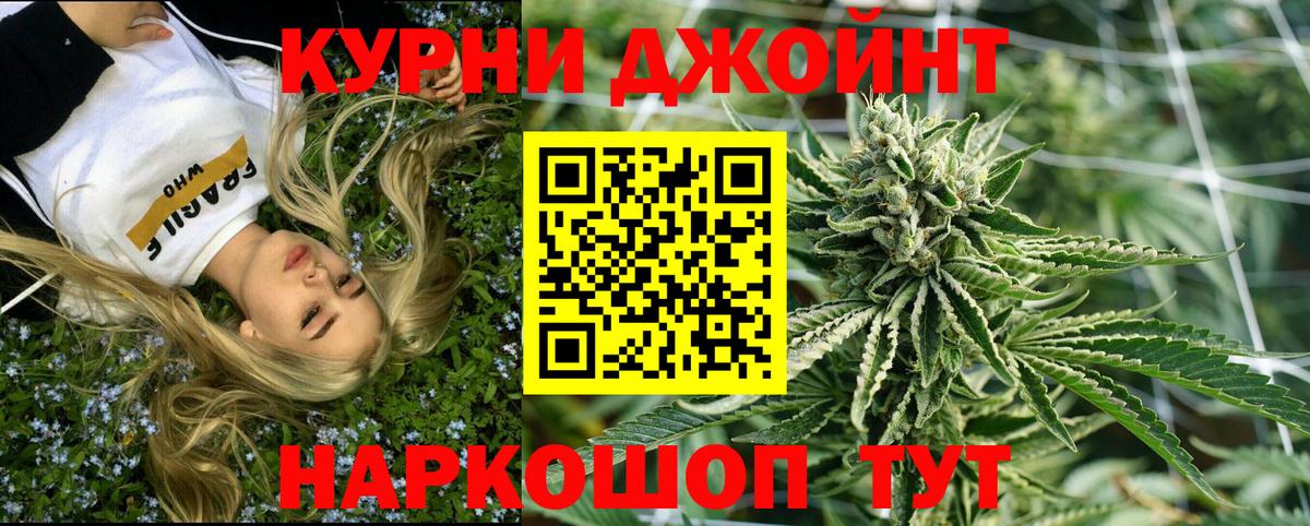 Бошки Шишки VHQ Сыктывкар